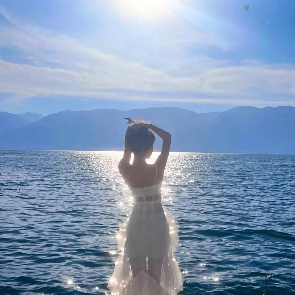 刘家媳妇 海报